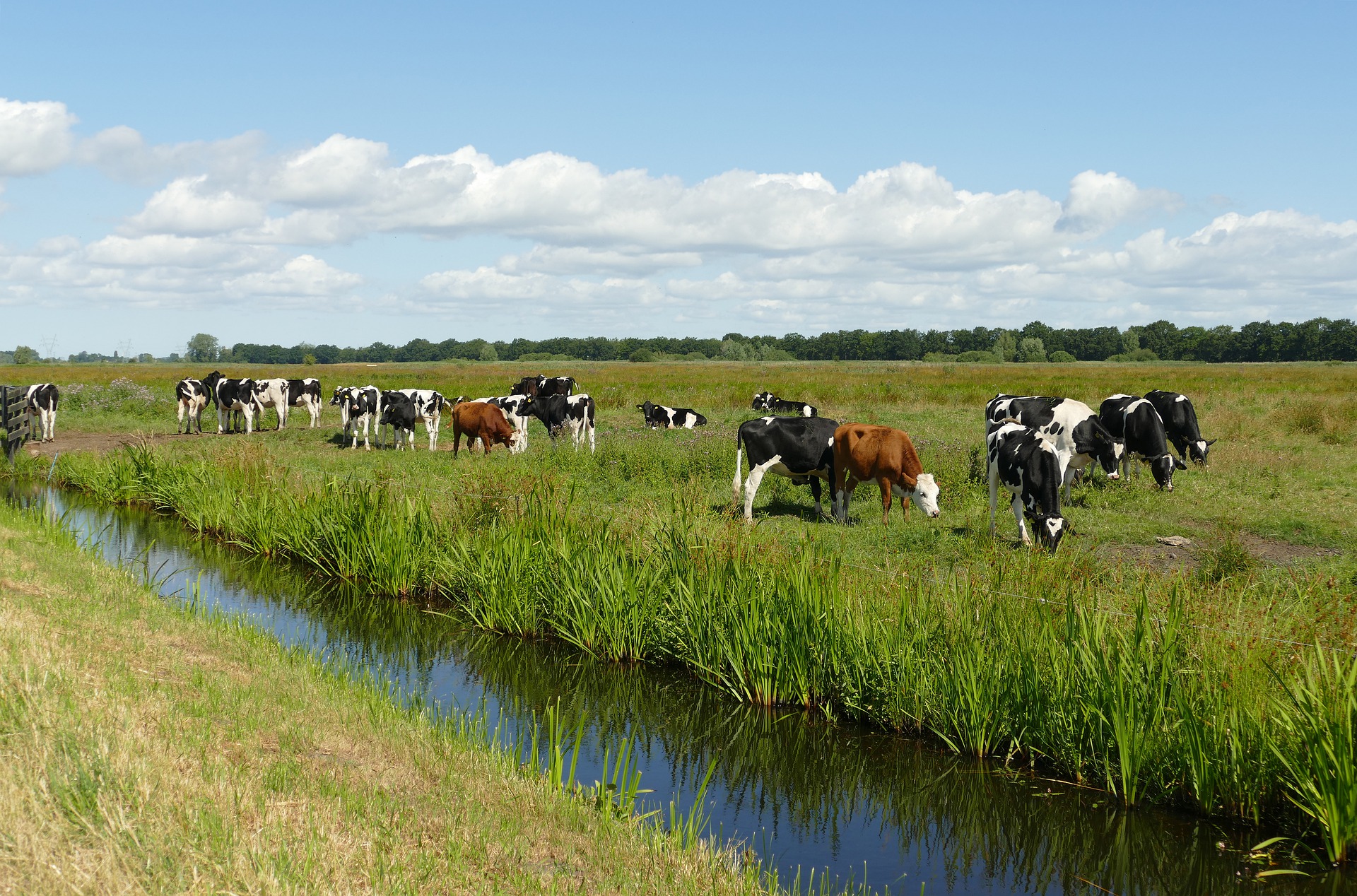 landscape-4332908_1920